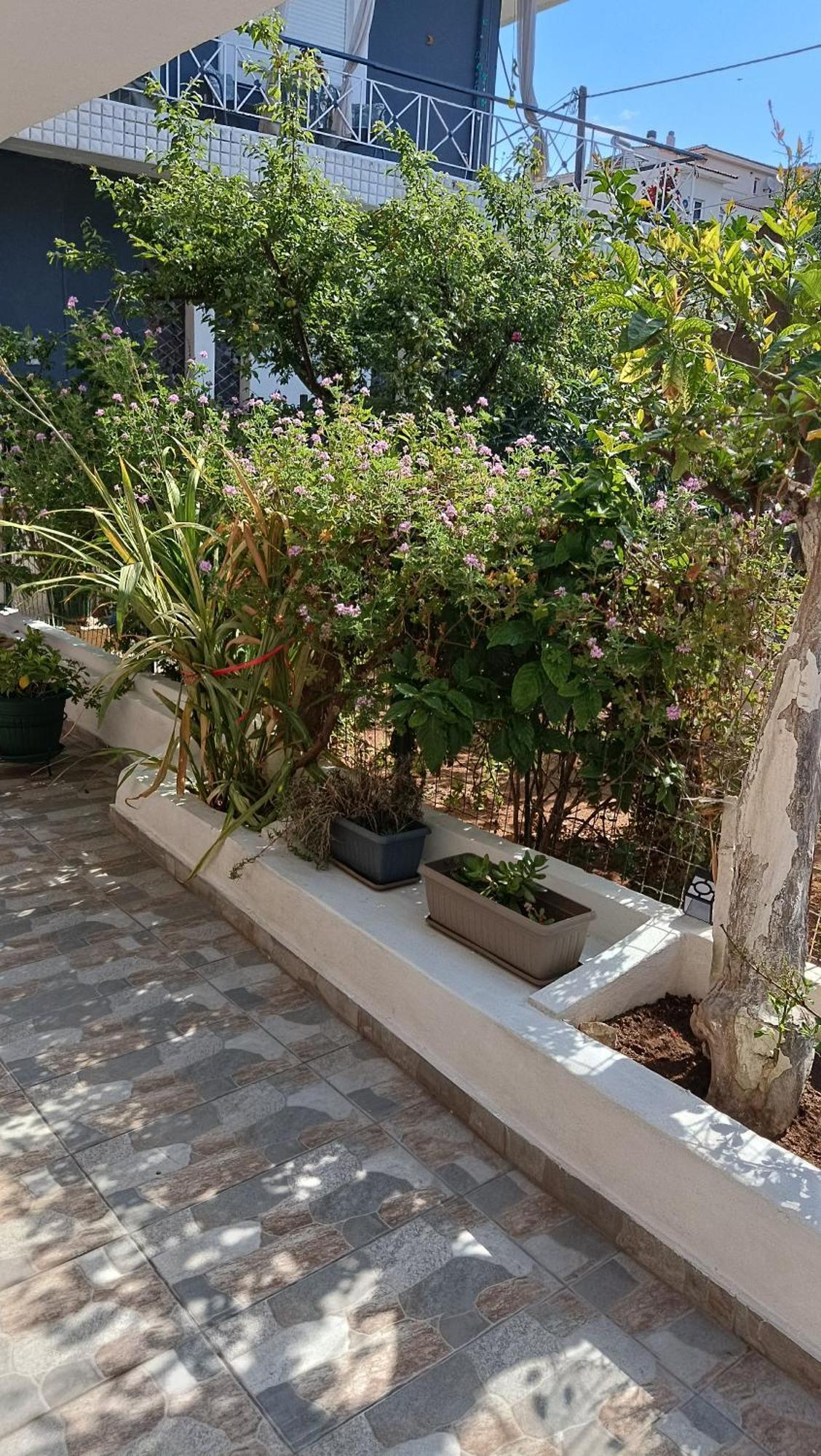 Melograno Διαμέρισμα Μαρκόπουλο Εξωτερικό φωτογραφία