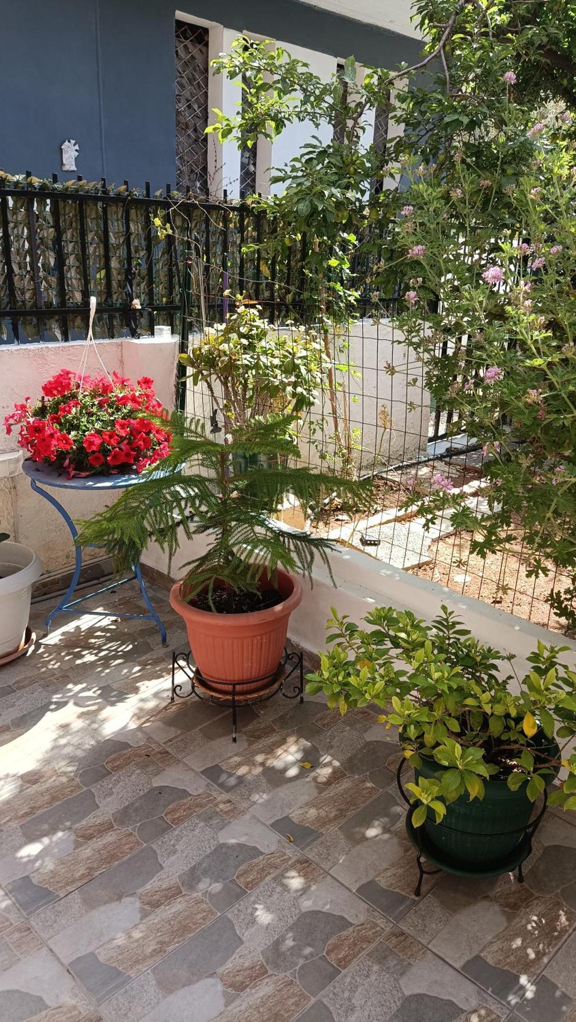 Melograno Διαμέρισμα Μαρκόπουλο Εξωτερικό φωτογραφία